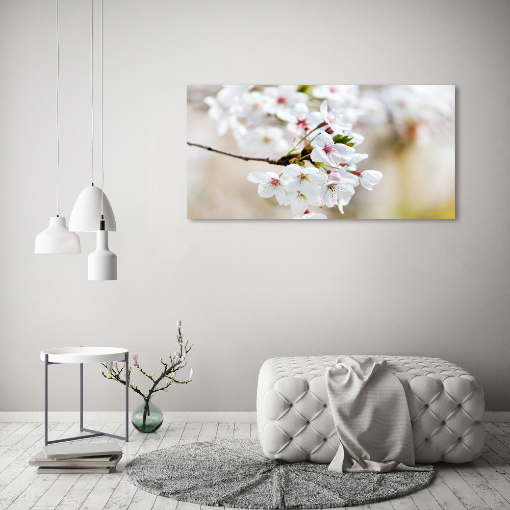 Obraz zdjęcie szkło akryl Kwiaty wiśni