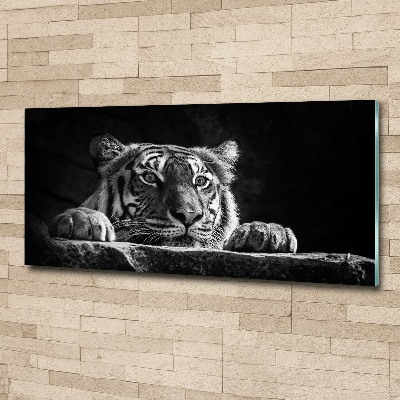 Foto obraz duży na scianę akrylowy Tygrys