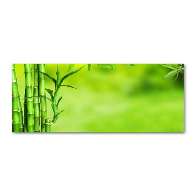 Obraz zdjęcie na scianę akrylowy Bambus