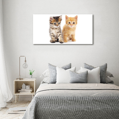 Foto obraz akryl Brązowy i rudy kot
