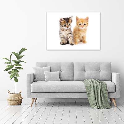 Foto obraz akryl Brązowy i rudy kot