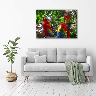 Foto obraz na ścianę akryl Papugi Ary