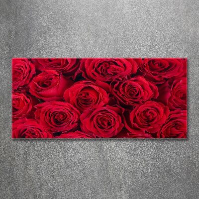 Obraz zdjęcie na scianę akrylowy Róże