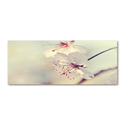 Obraz zdjęcie szkło akryl Kwiat wiśni