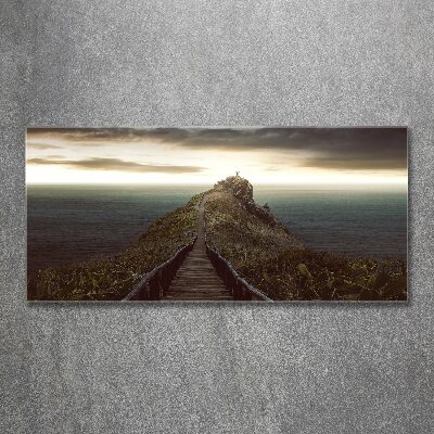 Foto obraz szkło akryl Ścieżka na skale