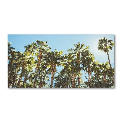 Foto obraz szkło akryl Wysokie palmy