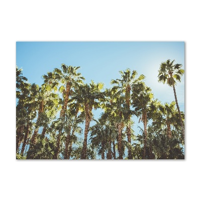 Foto obraz szkło akryl Wysokie palmy