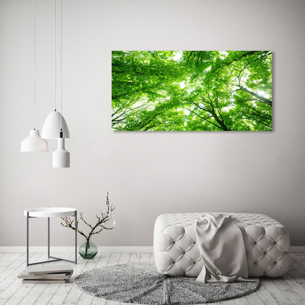 Obraz zdjęcie szkło akryl Zielony las