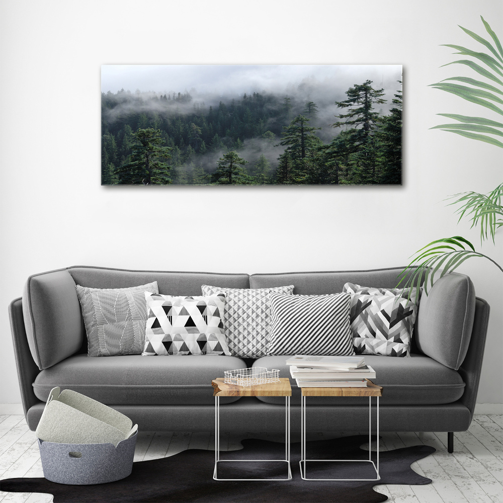 Foto obraz na ścianę akryl Leśna mgła