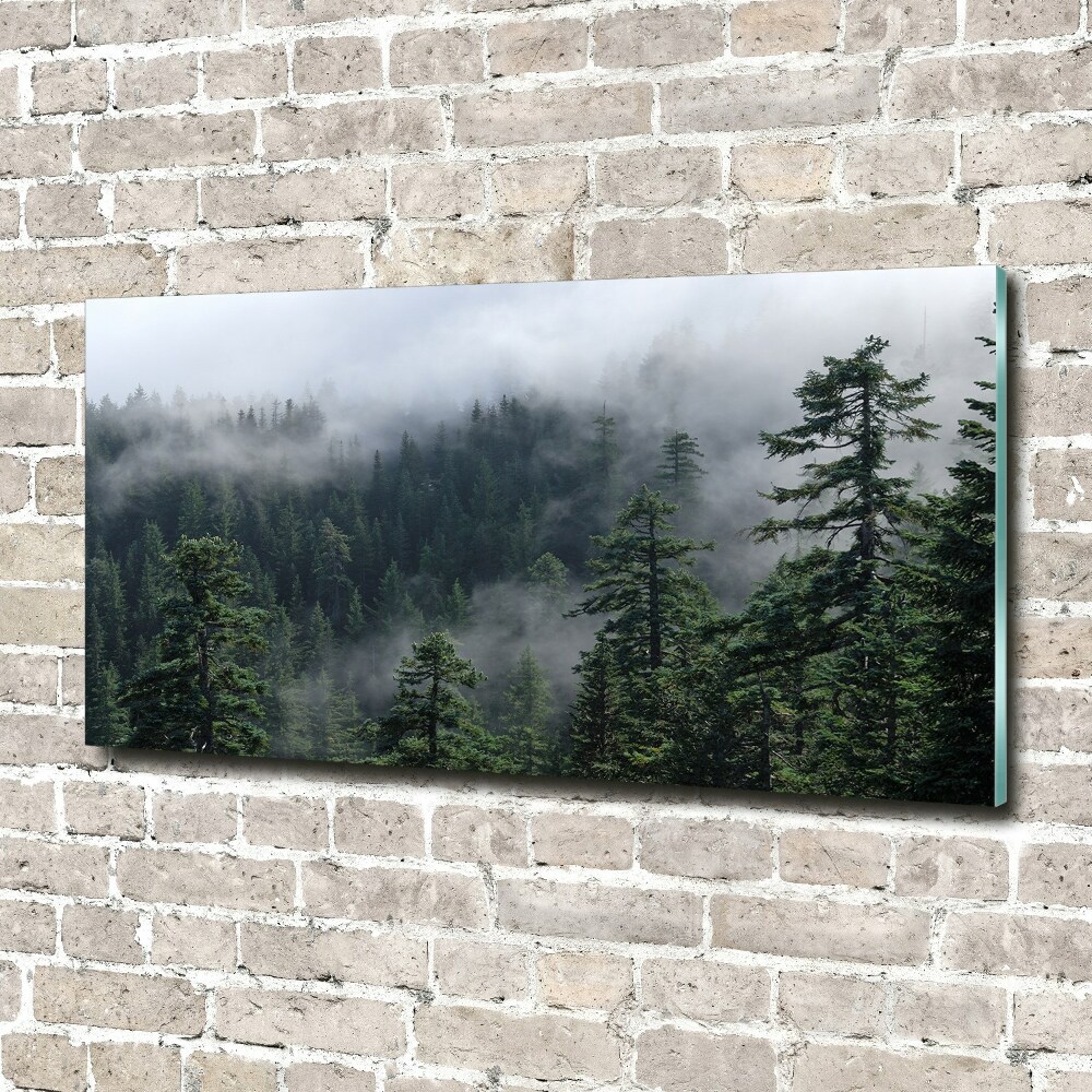 Foto obraz na ścianę akryl Leśna mgła
