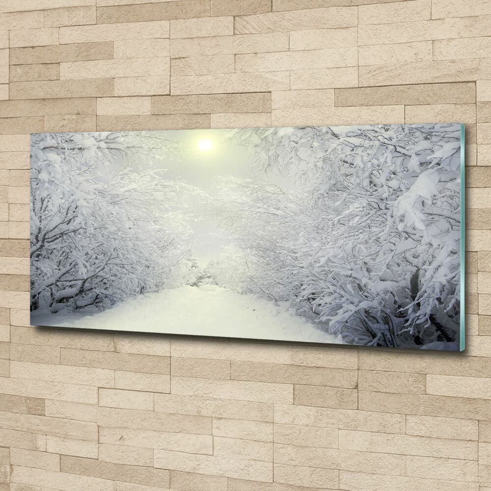 Foto obraz szkło akryl Piękny las zimą