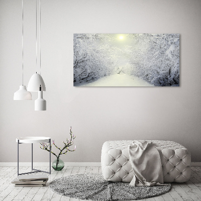 Foto obraz szkło akryl Piękny las zimą