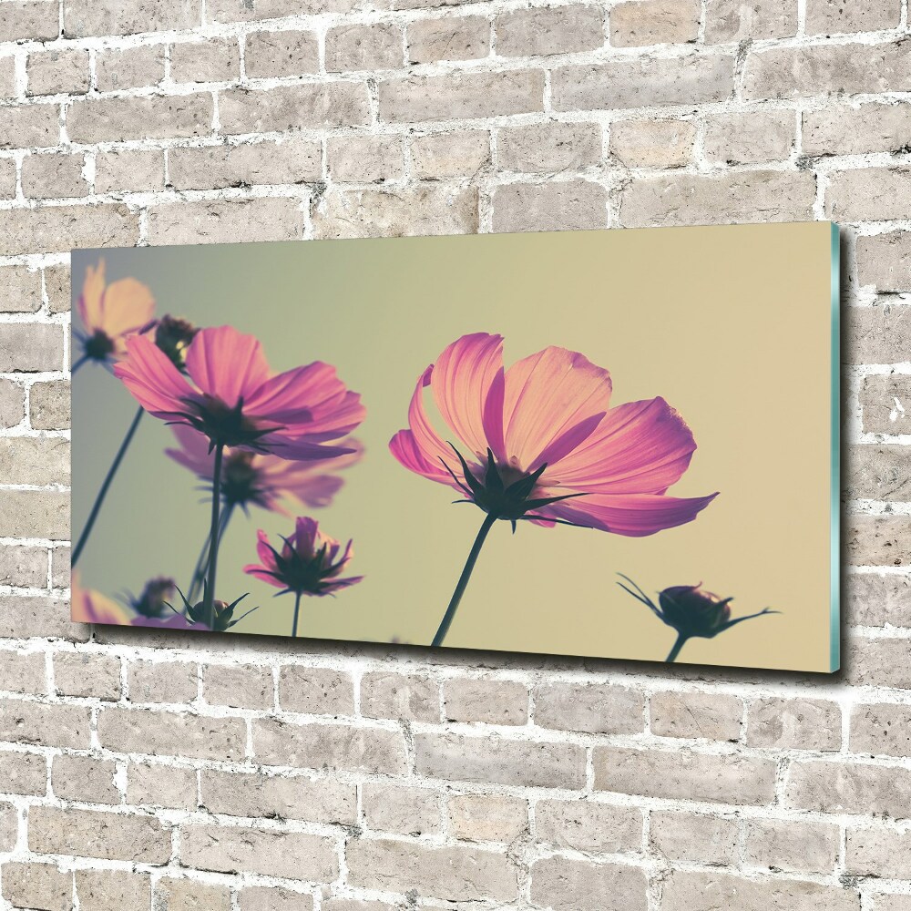Obraz zdjęcie szkło akryl Różowe kwiaty