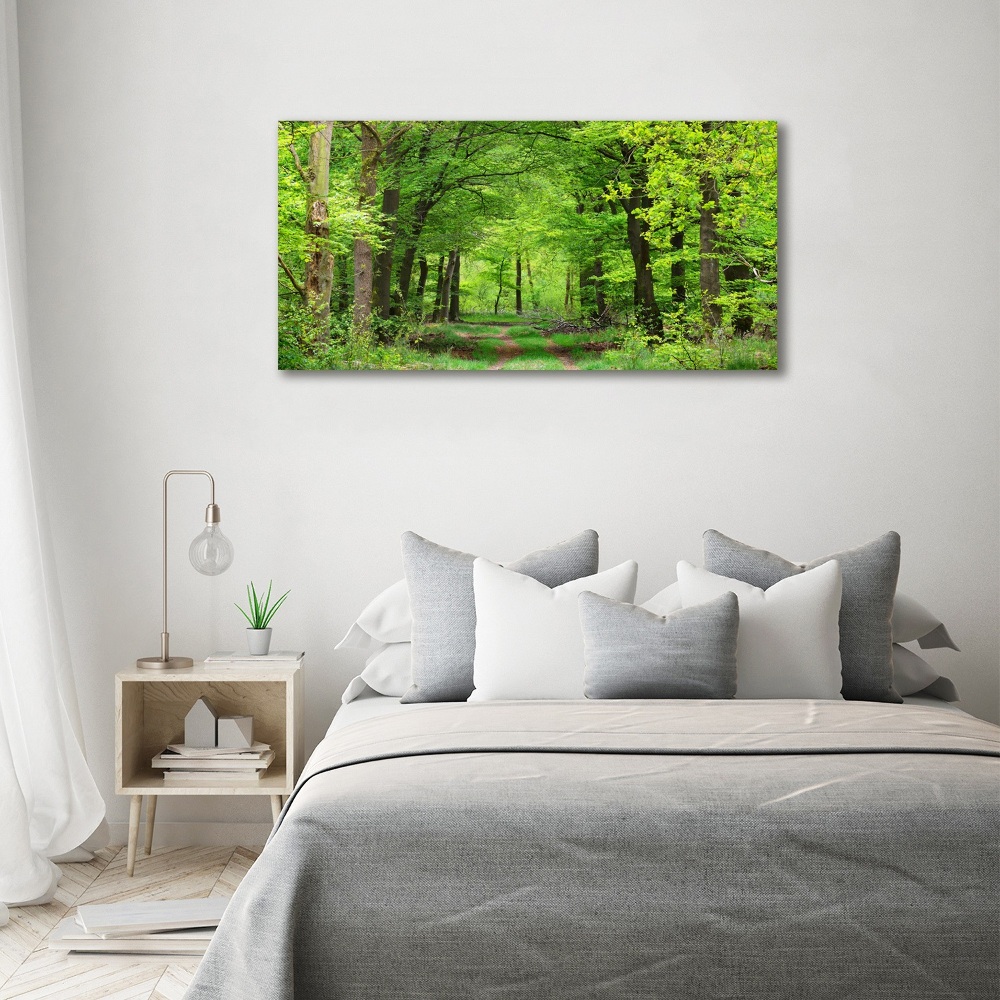 Foto obraz szkło akryl Wiosenny las