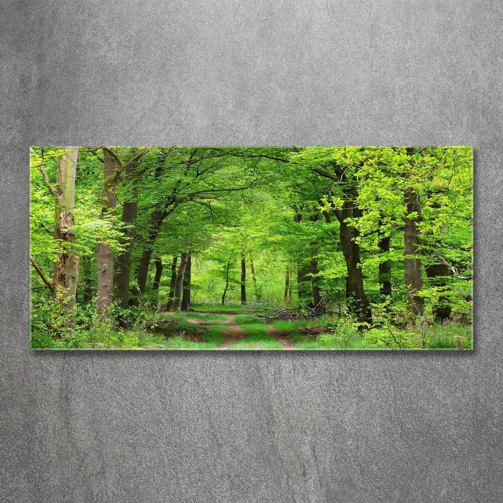 Foto obraz szkło akryl Wiosenny las