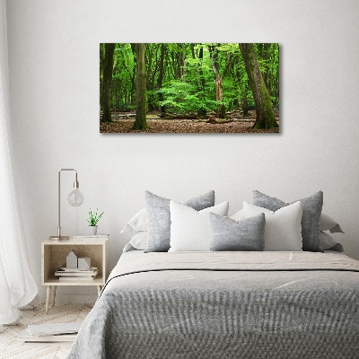 Foto obraz szkło akryl Holenderski las