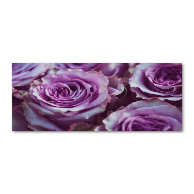 Obraz zdjęcie szkło akryl Fioletowe róże