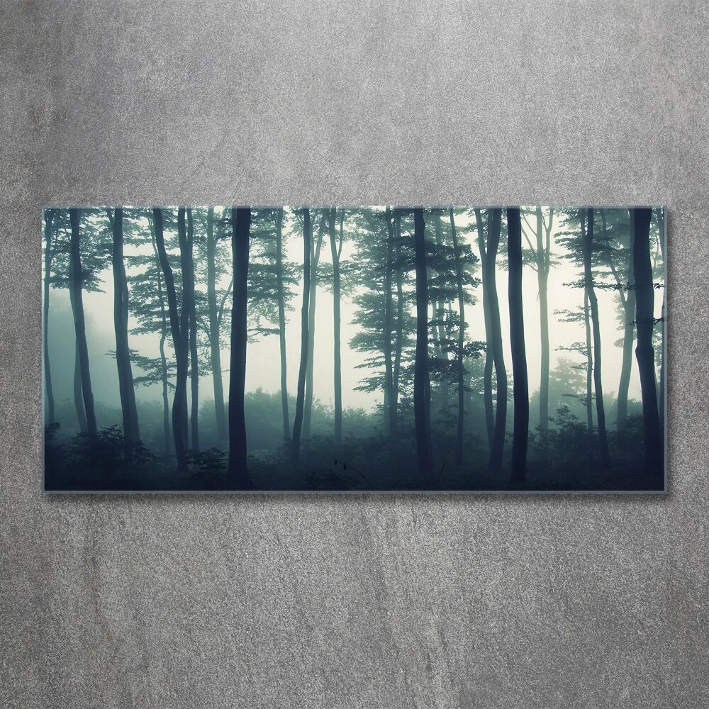 Foto obraz szkło akryl Las we mgle