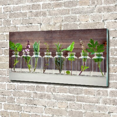 Obraz zdjęcie akryl Rośliny w słoikach