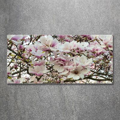 Obraz zdjęcie szkło akryl Kwiaty magnolii