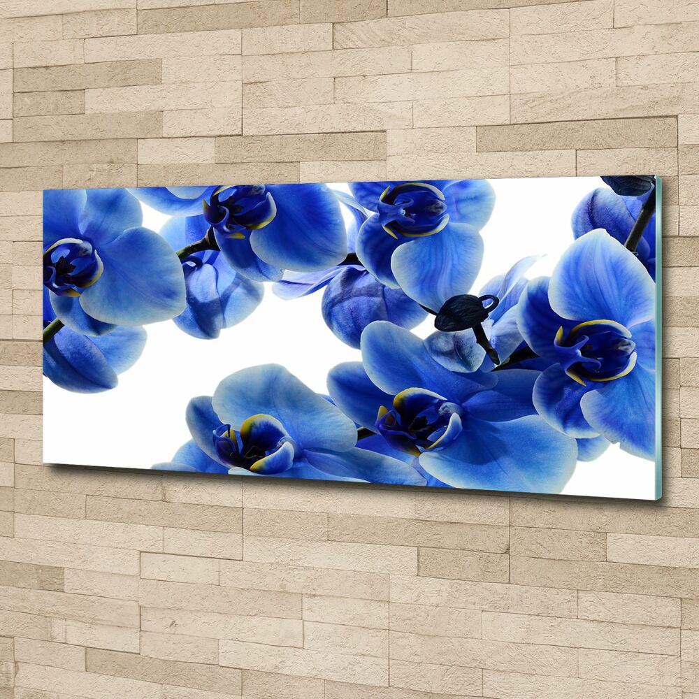Obraz zdjęcie akryl Niebieska orchidea