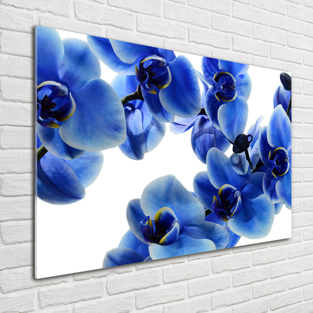 Obraz zdjęcie akryl Niebieska orchidea