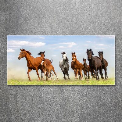 Foto-obraz szkło akryl Konie w galopie