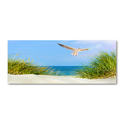 Foto obraz szkło akryl Mewa na plaży
