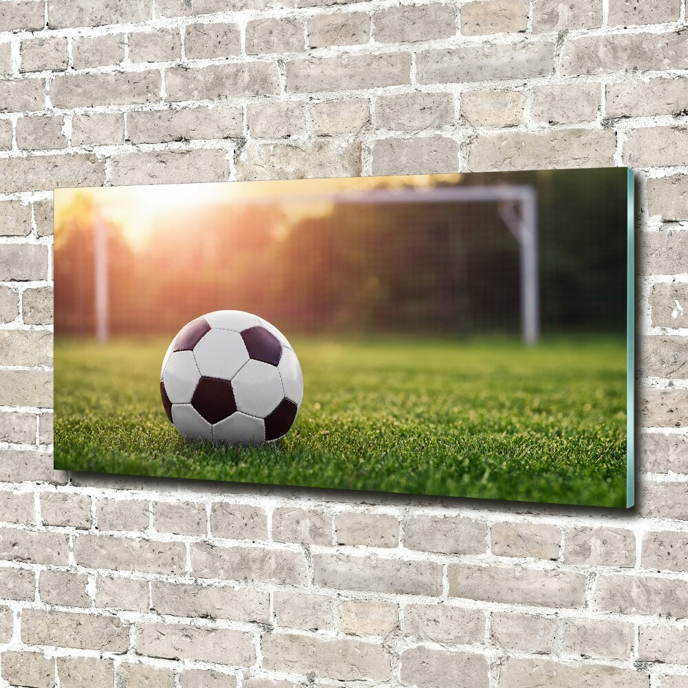 Foto obraz szkło akryl Piłka nożna