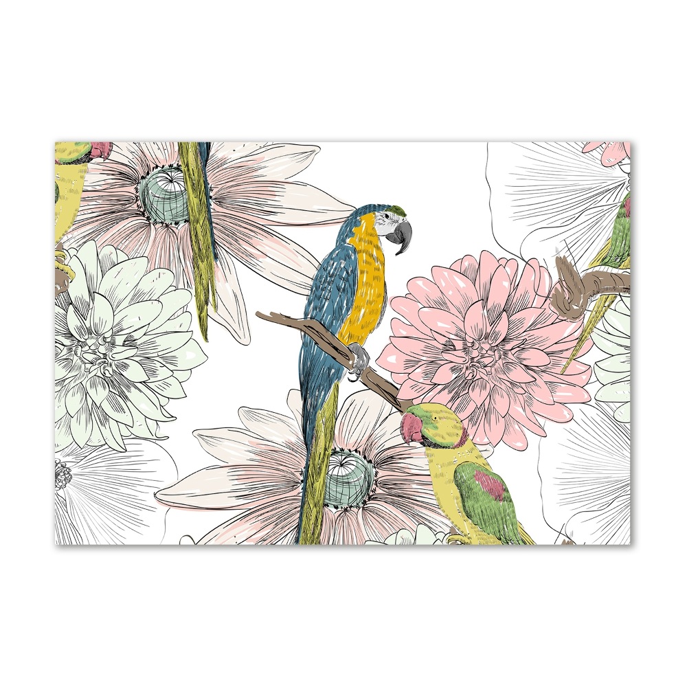 Obraz zdjęcie szkło akryl Papugi i kwiaty