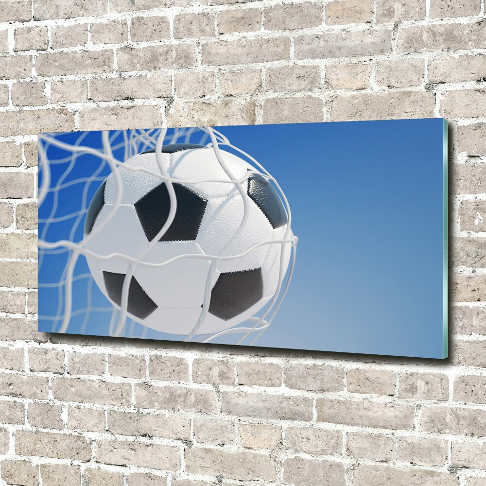 Foto obraz szkło akryl Piłka w bramce