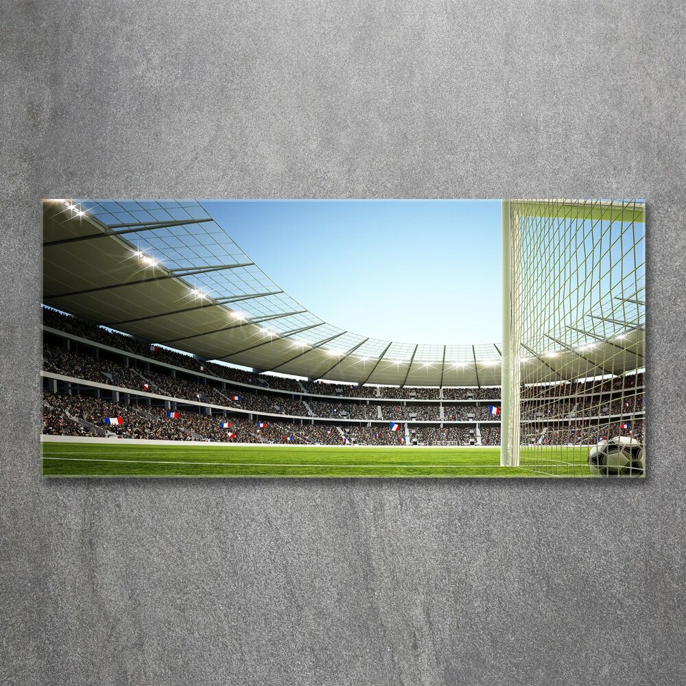 Foto obraz szkło akryl Stadion Francja