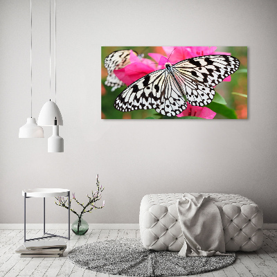 Foto-obraz szkło akryl Motyl na kwiatku