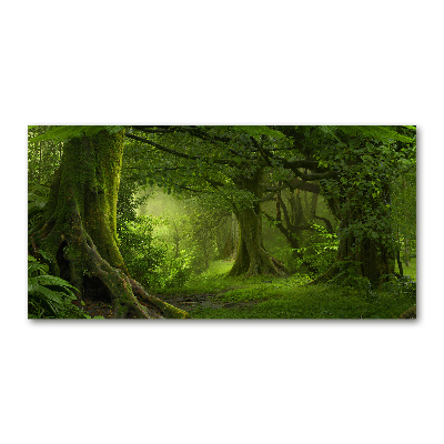 Foto obraz akryl Tropikalna dżungla