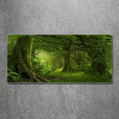 Foto obraz akryl Tropikalna dżungla