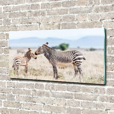 Foto-obraz szkło akryl Zebry w górach