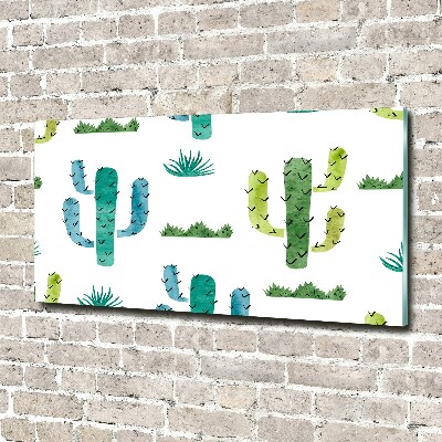 Obraz zdjęcie szkło akryl Kaktusy