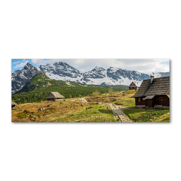 Foto obraz na ścianę akryl Hale Tatry