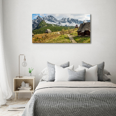 Foto obraz na ścianę akryl Hale Tatry