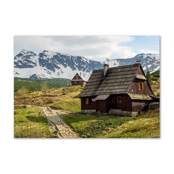 Foto obraz na ścianę akryl Hale Tatry