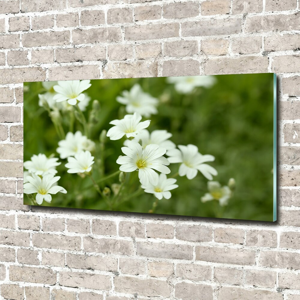 Obraz zdjęcie szkło akryl Wiosenne kwiaty