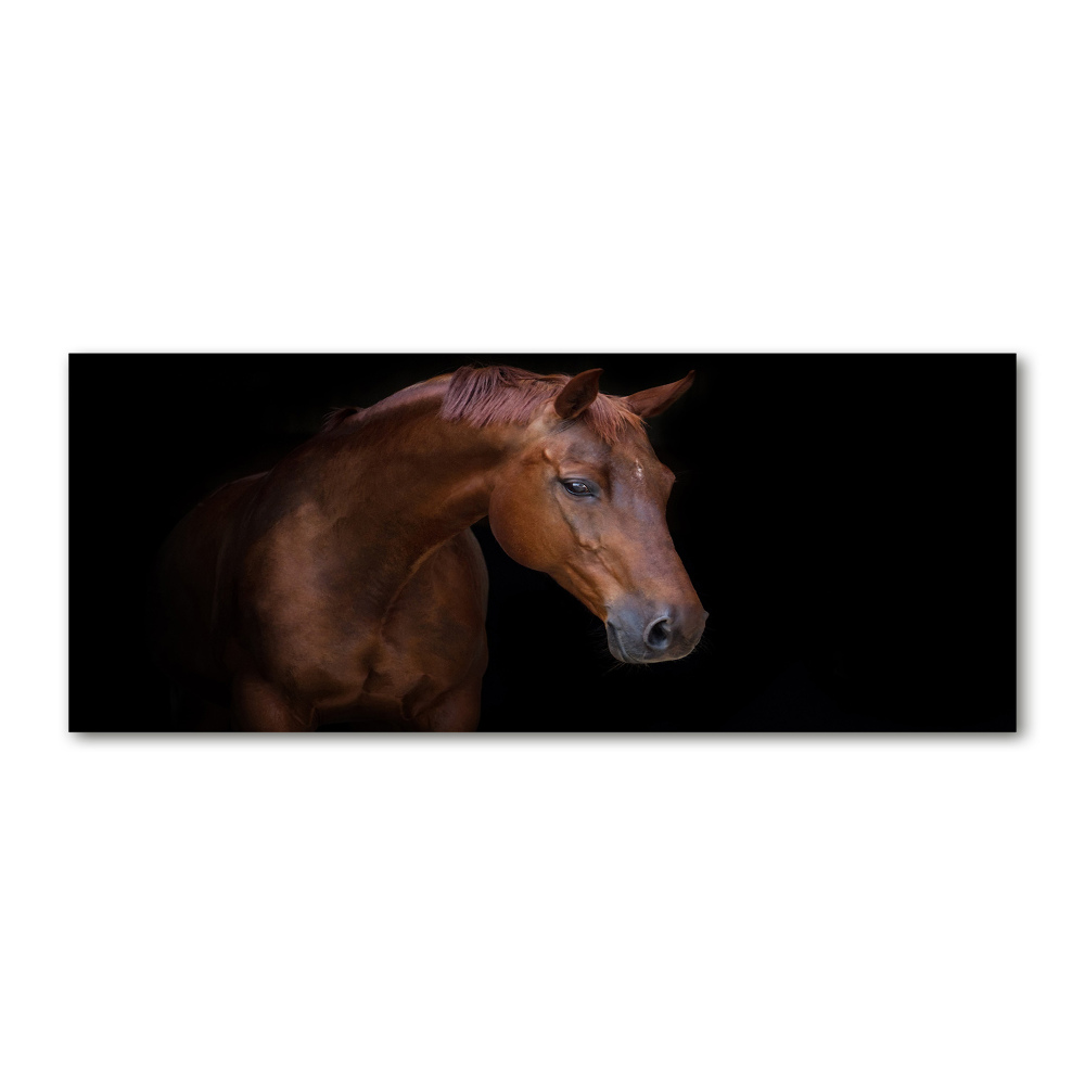 Foto obraz szkło akryl Brązowy koń