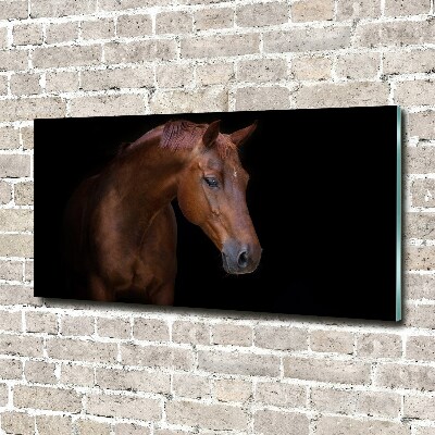 Foto obraz szkło akryl Brązowy koń