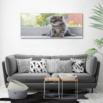 Foto obraz akryl Mały kot przy oknie