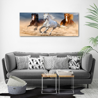 Foto obraz szkło akryl Konie na pustyni
