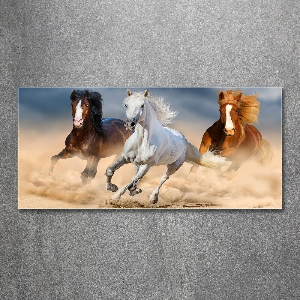 Foto obraz szkło akryl Konie na pustyni