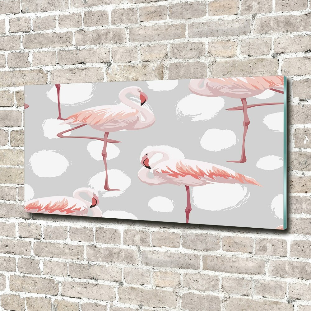 Obraz zdjęcie na ścianę akryl Flamingi