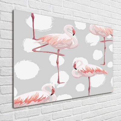 Obraz zdjęcie na ścianę akryl Flamingi