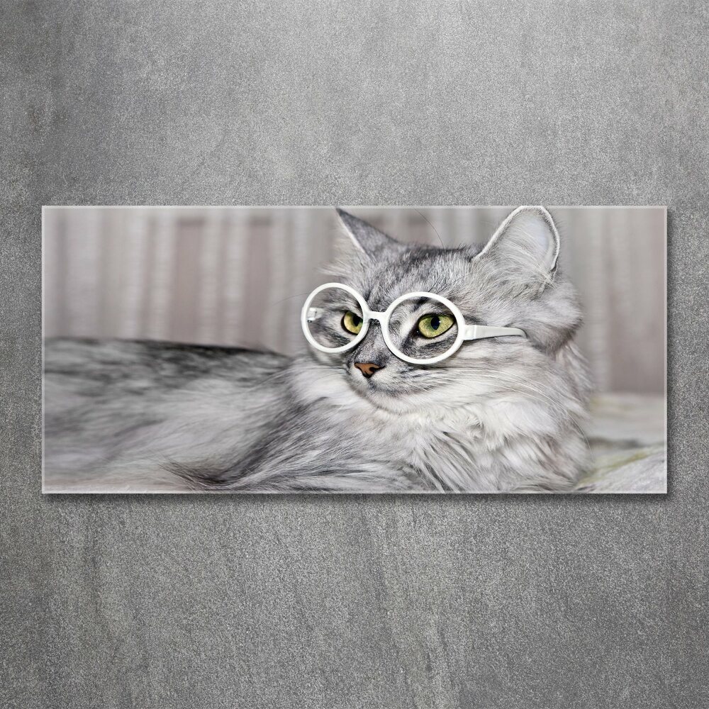 Foto obraz szkło akryl Kot w okularach