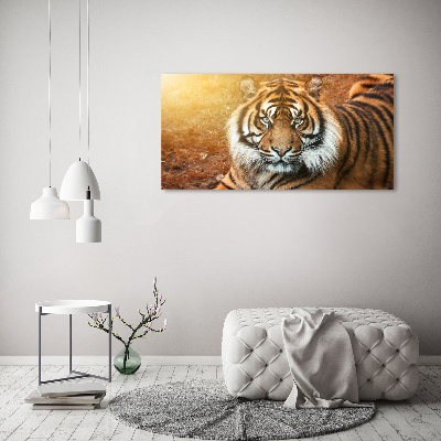 Foto obraz szkło akryl Tygrys bengalski